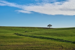 Seul sur la colline