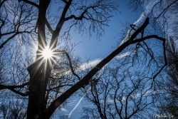 Le soleil (enfin) de retour!