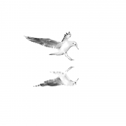 Prêt à se poser, suite