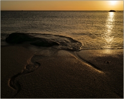 low tide