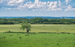 Le Marais Vernier (27)