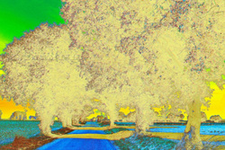 Photo d’inscription N°2 - coulée d’ombres.jpg