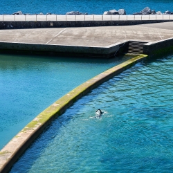 lignes d'eau