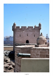 Le fort (La smala)