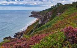 Entre Fort la Latte et Cap Fréhel