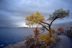 Presqu'île de Rhuys