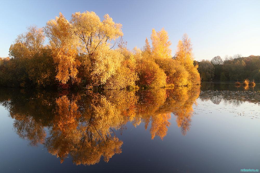 Etang picard en automne