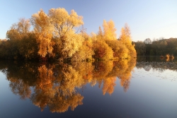 Etang picard en automne