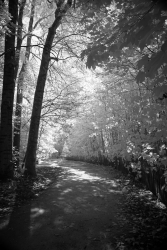 Le chemin