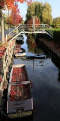 Rieu en automne