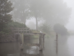 Brume matinale (2)