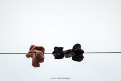 Les chaussette de l'archi duchesse...............
