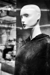 Le mannequin