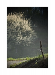 Derniers rayons