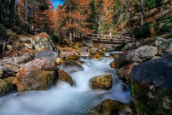 De l'eau est passée sous les ponts