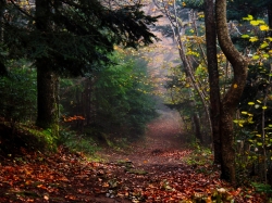 Le CHEMIN