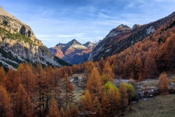 La Vallée Etroite 2