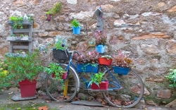 Le vélo bleu