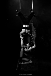 Les acrobates de charme