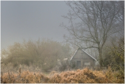 La cabane abandonnée