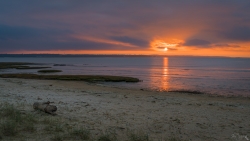 Un soir à Marennes