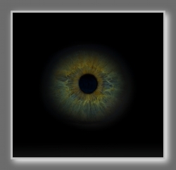 Regard
