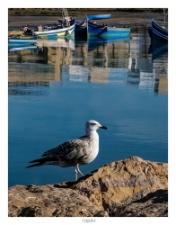 Jolie rencontre matinale