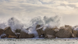 Vague de fraîcheur...