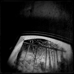 L'Emprise ...