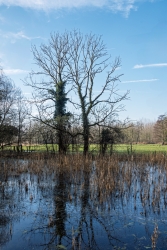 Les marais