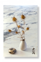 Nature... morte