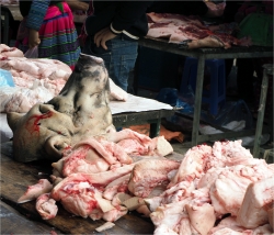 Tout est bon dans le cochon.