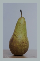 Fruits ...