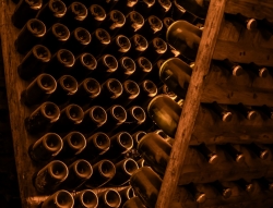 Champagne (caves de la maison Mumm)