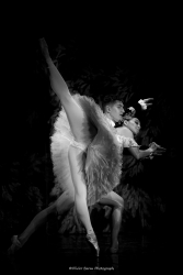 Petit pas de deux