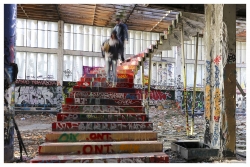 L'ESCALIER