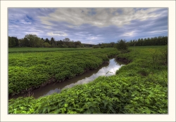 le ruisseau