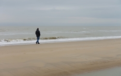 Grand moment de solitude...