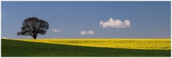 Le printemps est arrivé
