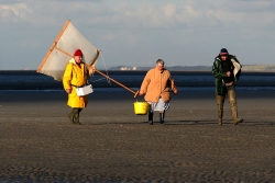 Retour de pêche à la crevette
