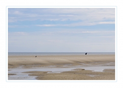 Plume et Poil à la plage