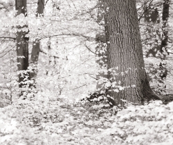 Hez-Froidmont