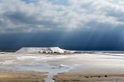 Camargue