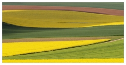 Printemps en Somme