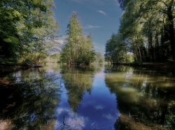 L'isle Adam  : APrès l'hiver , le printemps