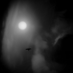 Wild Is The Wind ...