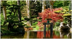 Maulévrier : Jardin japonais