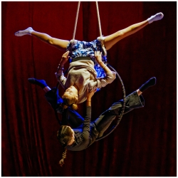 Le Cirque à Sophie...