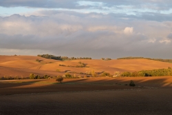 SOLEIL RASANT