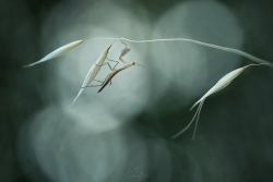 Hanging on...
